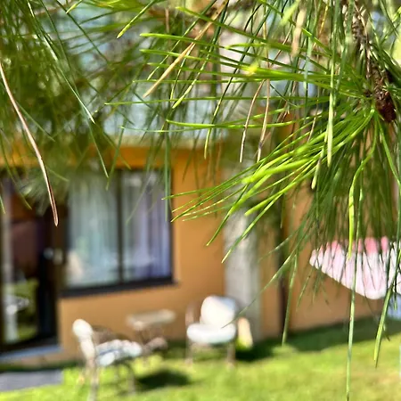 Hotel Boulevard Sea Residenz 300 Meter Zum Sandstrand