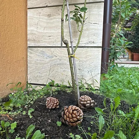 Boulevard Sea Residenz 300 Meter Zum Sandstrand