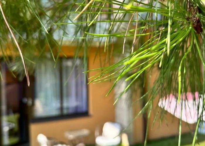 فندق Boulevard Sea Residenz 250 Meter Zum Sandstrand