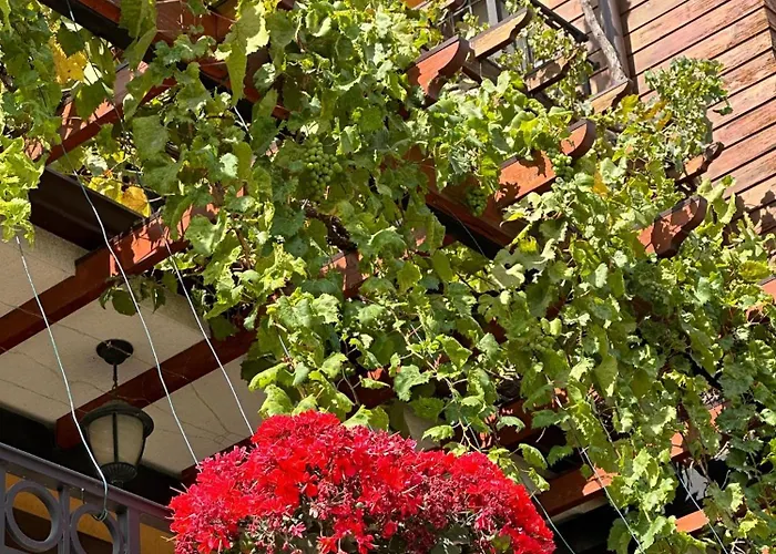 فندق Boulevard Sea Residenz 250 Meter Zum Sandstrand 5*