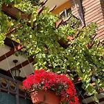 ホテル Boulevard Sea Residenz 250 Meter Zum Sandstrand 5*
