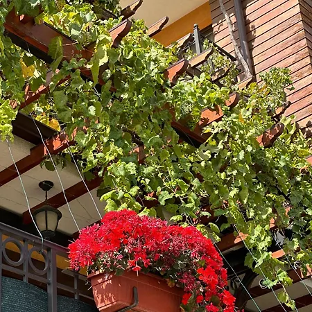 Hotel Boulevard Sea Residenz 250 Meter Zum Sandstrand 5*