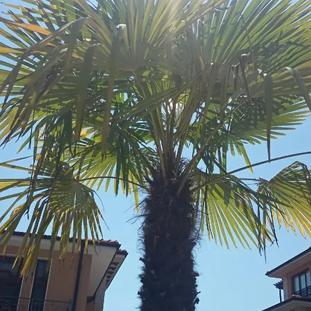 Hotel Boulevard Sea Residenz 250 Meter Zum Sandstrand