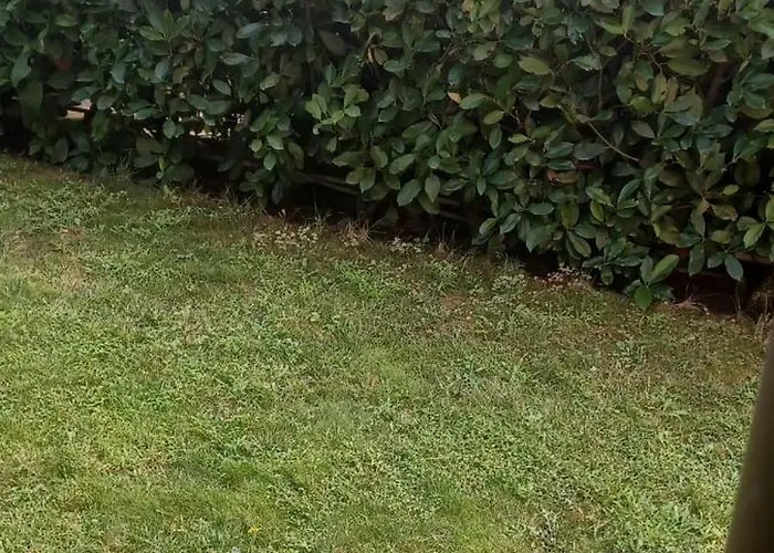 Boulevard Sea Residenz 250 Meter Zum Sandstrand Otel