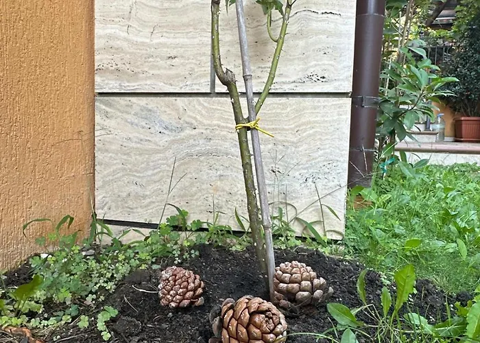 Boulevard Sea Residenz 250 Meter Zum Sandstrand