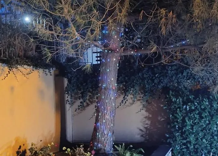 Boulevard Sea Residenz 250 Meter Zum Sandstrand Napospart